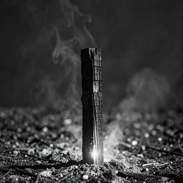 Let it Burn 