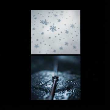 Winter Lullaby