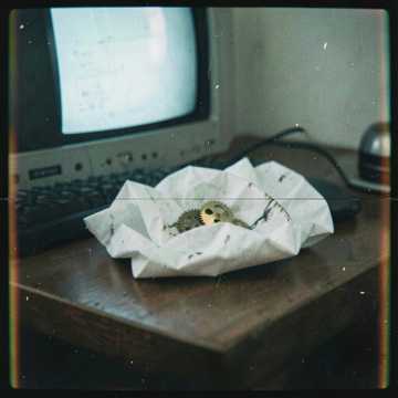 Paper Trail Signal