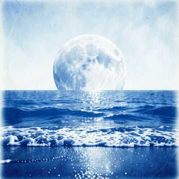 Salsa de Luna Salsa de Luna