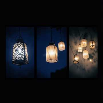 Lanterns In Bloom