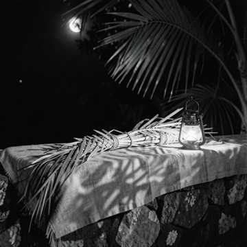 Navidad Tropical en el Ritmo
