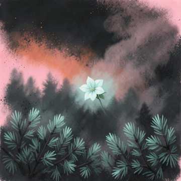 Midnight Pines, Honeysuckle Echo