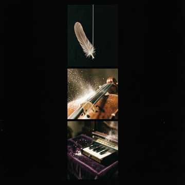 Ivory Dust