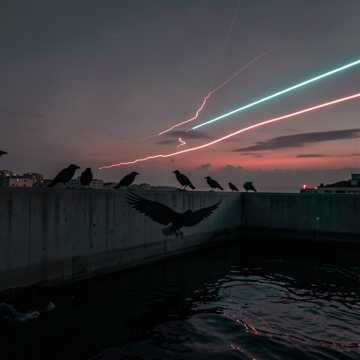 Corbeau Du Soir Corbeau Du Soir