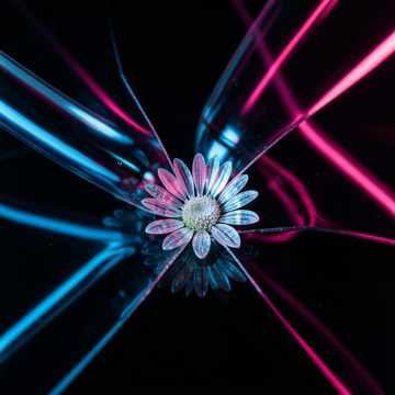 Neon Groove Riot Neon Groove Riot