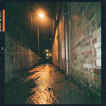 Back Alley Pulse Back Alley Pulse