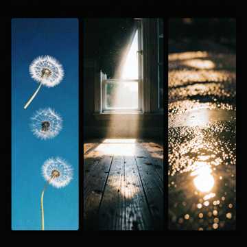 Sunshine 