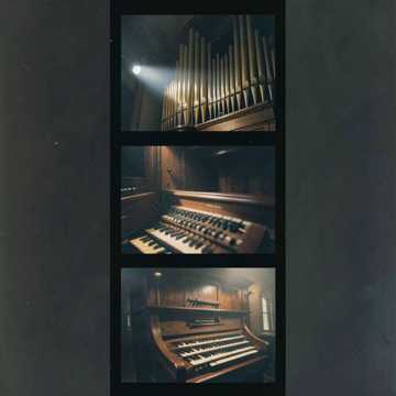 Midnight Organ Groove