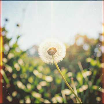 LIGHT