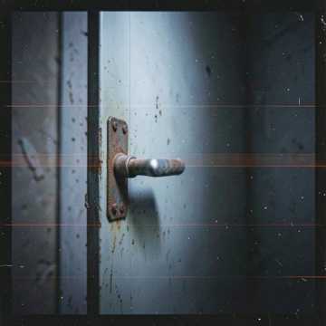 Basement Door Basement Door