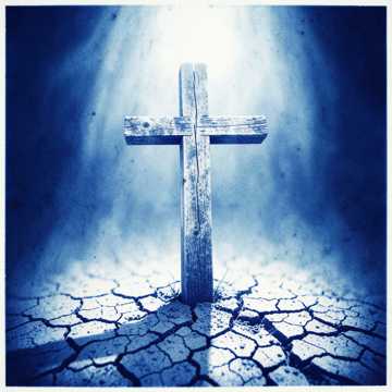 My Miracle My Miracle