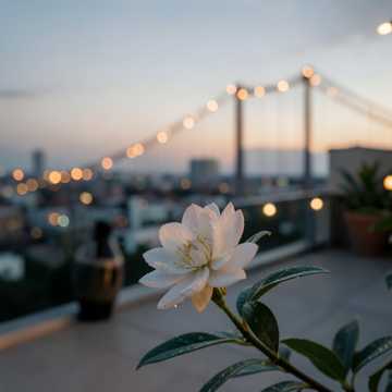 Sous le jasmin
