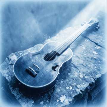 Echoes of the Midnight Mandolin